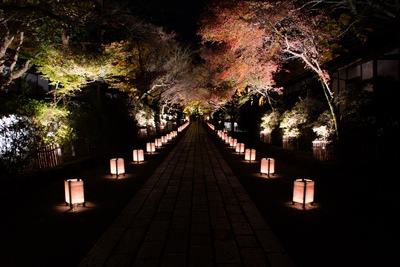 滋賀・石山寺｜紫式部ゆかりの名刹で歴史と四季の絶景を味わう