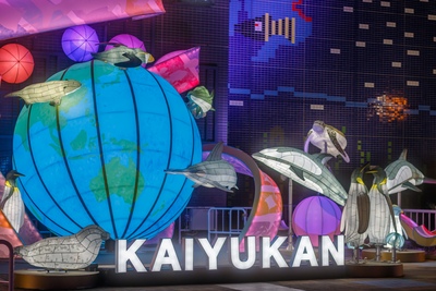 大阪・海遊館｜ジンベエザメに会える人気水族館と周辺の楽しみ方