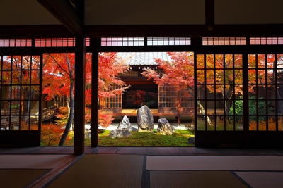 京都・建仁寺観光ガイド｜禅と茶の発祥地で心を整える