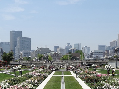大阪・中之島公園｜堂島川と土佐堀川に囲まれた水と緑の都心オアシス