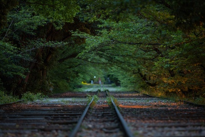 京都・蹴上インクライン観光ガイド｜桜と紅葉の穴場散歩コース