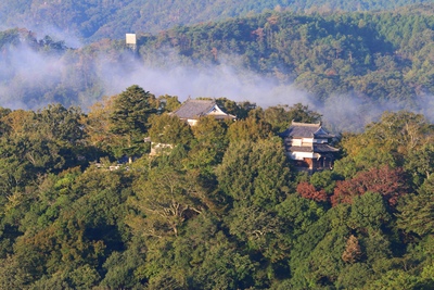 岡山・備中松山城｜雲海に浮かぶ「天空の城」と山城ハイキング