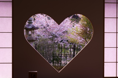 京都・正寿院ガイド｜ハートの窓と絶景を楽しむ癒しのお寺