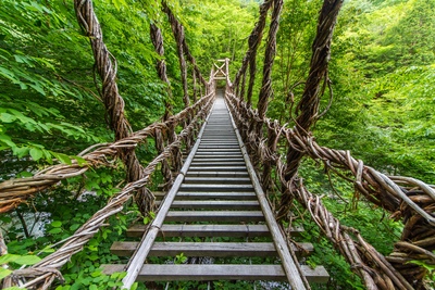 徳島・祖谷渓とかずら橋｜秘境の渓谷美とスリル満点のつり橋体験