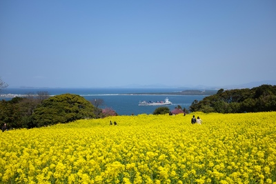 福岡・能古島｜花と海景色に癒やされる博多湾のリゾート島