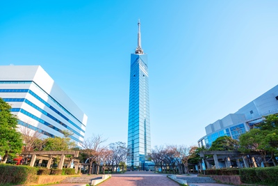 福岡・福岡タワー｜展望台から夜景を楽しむ海辺のランドマーク