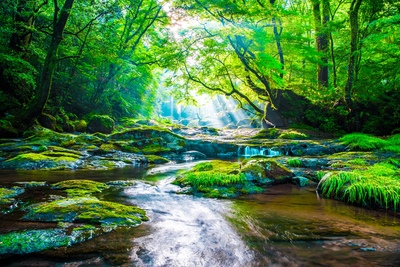 熊本・菊池渓谷｜清流と滝を歩く涼やか渓谷さんぽ