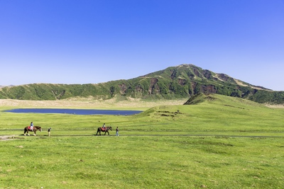 阿蘇・草千里ヶ浜｜放牧風景と阿蘇五岳を望む大草原ドライブ