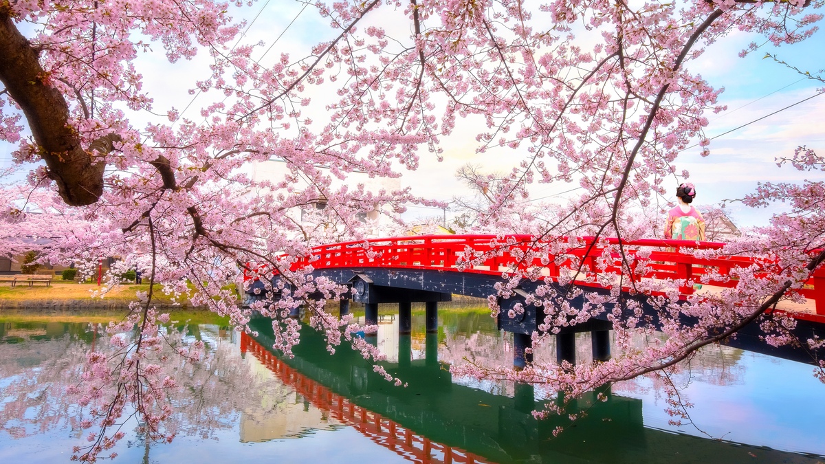 [Hirosaki Park Tourist Guide] Enjoy the beauty and history of the four seasons