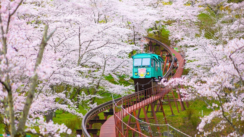 【宮城・船岡城址公園】桜と絶景が楽しめる歴史スポット