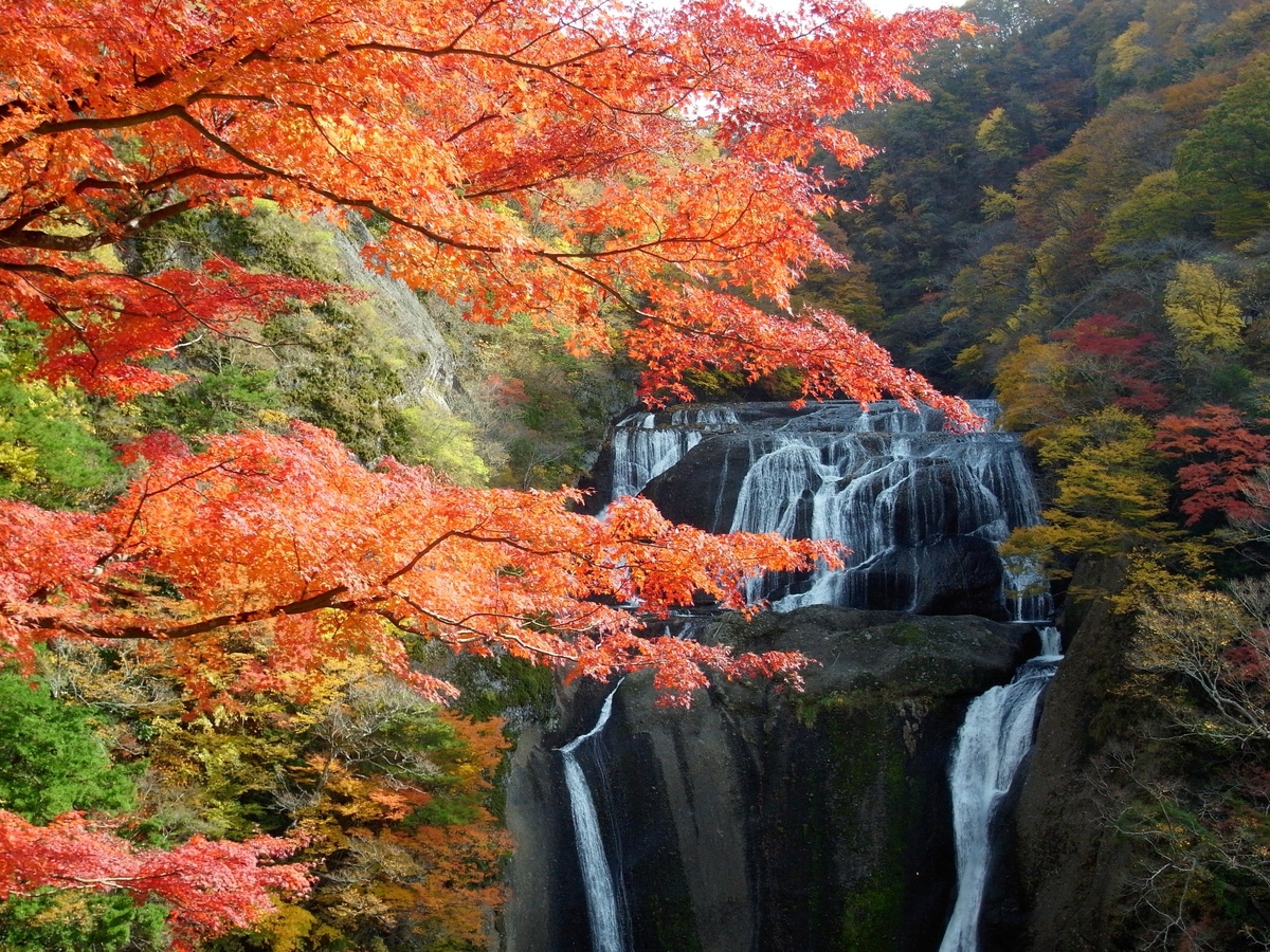 Fukuroda Falls, Ibaraki: A spectacular view from season to season! Enjoy the charm of Japan's three most famous waterfalls!