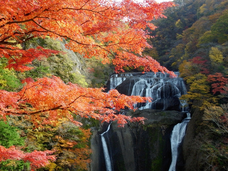 【茨城・袋田の滝】四季折々の絶景！日本三名瀑の魅力を堪能