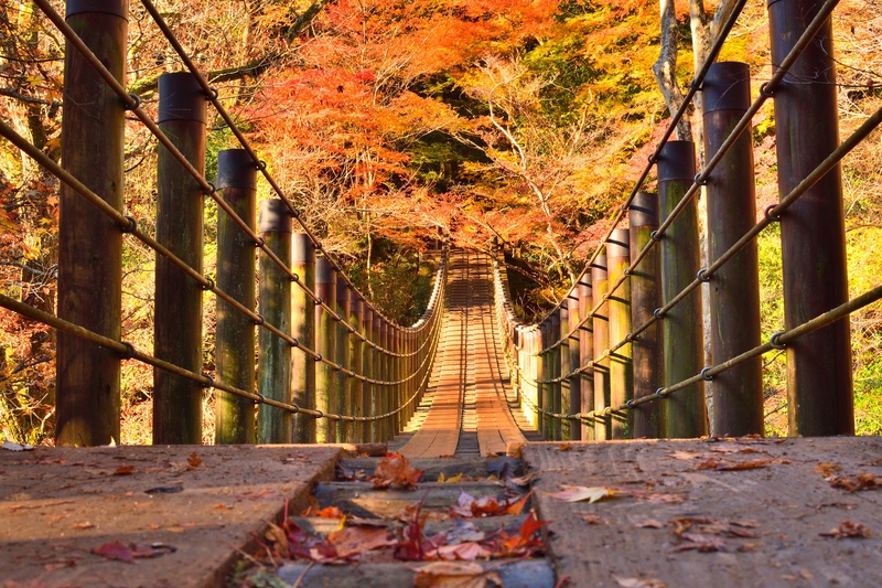 【茨城・花貫渓谷】紅葉の名所！吊り橋から望む絶景