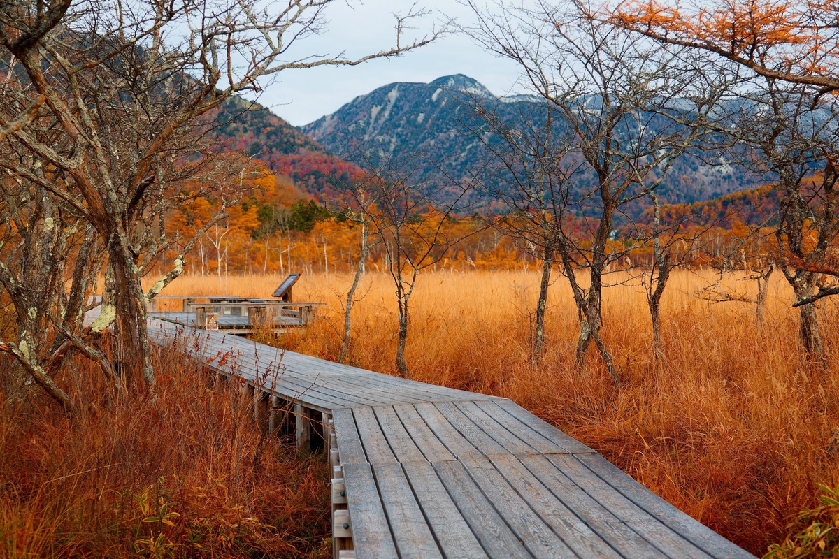 [Nikko National Park] A treasure trove of world heritage sites and stunning views! Enjoy nature throughout the four seasons