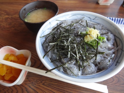 神奈川・江の島しらす｜生しらすが人気の湘南ご当地グルメ