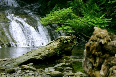 養老渓谷｜粟又の滝とハイキング、紅葉が美しい千葉の渓谷さんぽ