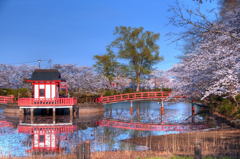 千葉・茂原公園の四季折々の美しさを満喫！桜と紅葉の名所