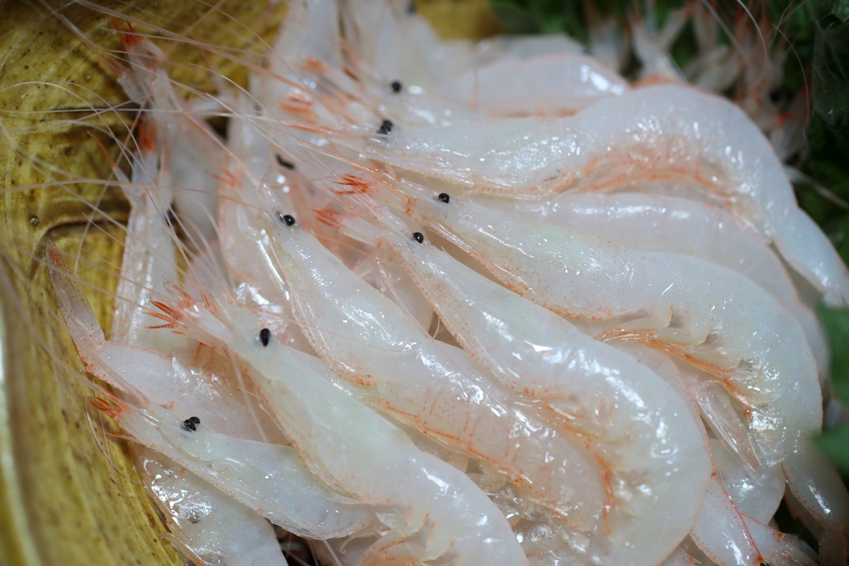 The jewel of Toyama Bay: white shrimp! Introducing delicious gourmet food and recommended restaurants