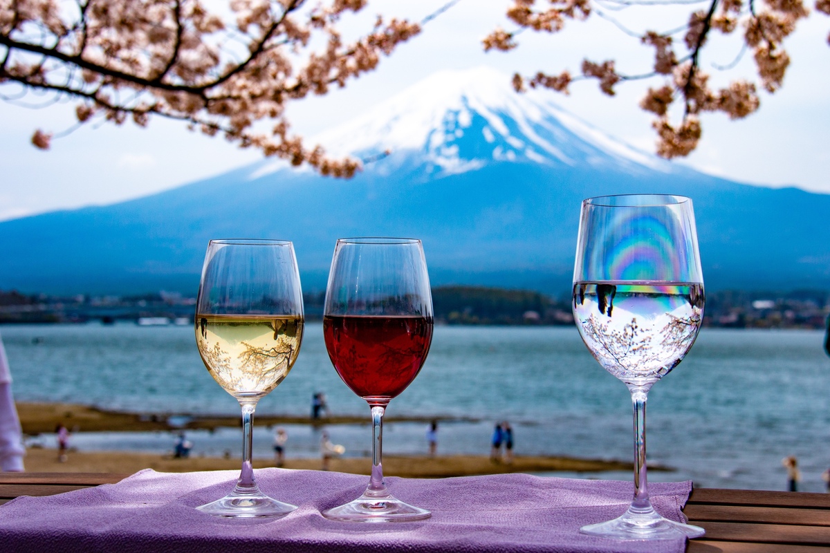 Yamanashi: The Sacred Land of Japanese Wine! Enjoy the Charm of Grapes and Wine