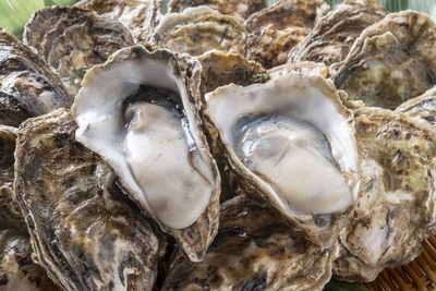 広島の牡蠣｜旬のシーズンと生・焼き・土手鍋の食べ方、名店まとめ