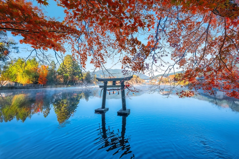 金鱗湖の幻想的な朝霧！由布院の神秘的な湖