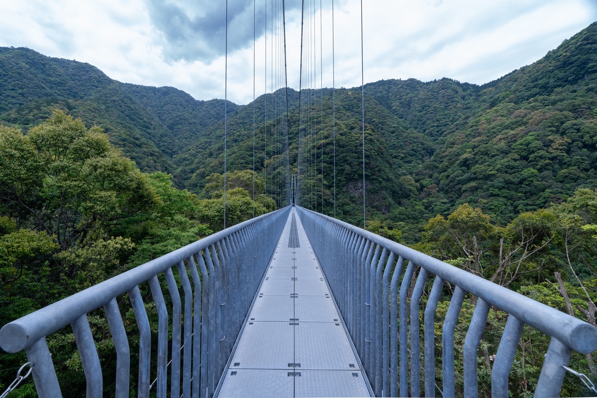 日本最大級吊橋！宮崎綾町「照葉大吊橋」絕景健行攻略