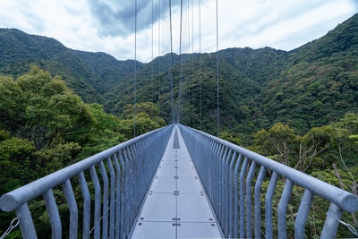 綾の照葉大吊橋（宮崎）｜森の上を歩く絶景散歩。所要時間・怖さ・アクセス