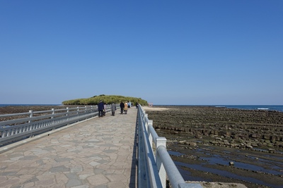 青島（宮崎）｜鬼の洗濯板と青島神社。ビーチ散歩・夕日・アクセスまとめ