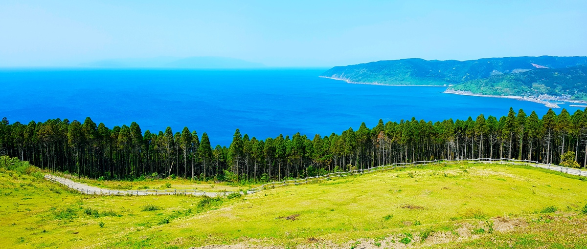 Visit Cape Toimisaki, Miyazaki, a cape with a spectacular view where wild horses live.