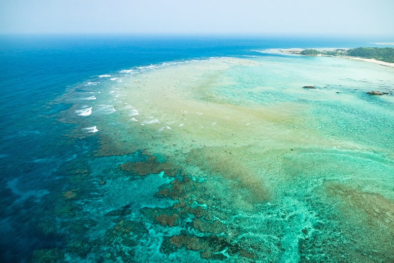 手つかずの自然と美しい海｜奄美大島の魅力とは？