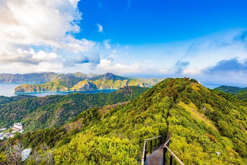 【小笠原諸島】東京から行ける南国！絶景と大自然を満喫