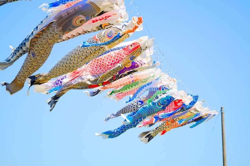 鯉のぼりの歴史と風習、地域ごとの違いも楽しもう
