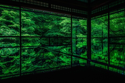 瑠璃光院（京都府）青もみじと紅葉が彩る人気絶景スポットの楽しみ方