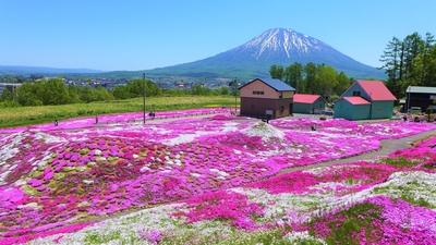 ニセコ観光の楽しみ方完全ガイド｜季節別の見どころと回り方