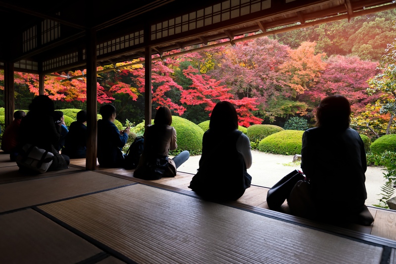 詩仙堂丈山寺の見どころ案内｜京都で庭園を楽しむ旅へ