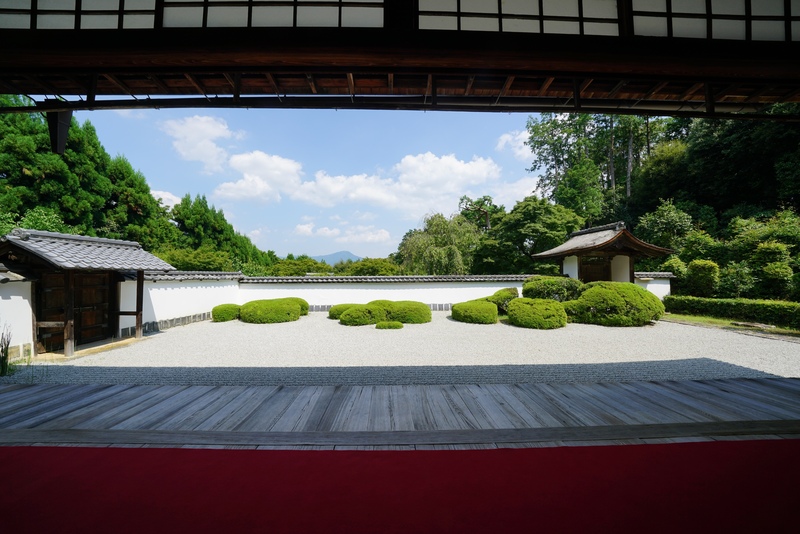 京都・正伝永源院の楽しみ方｜歴史と茶の湯にふれるひととき