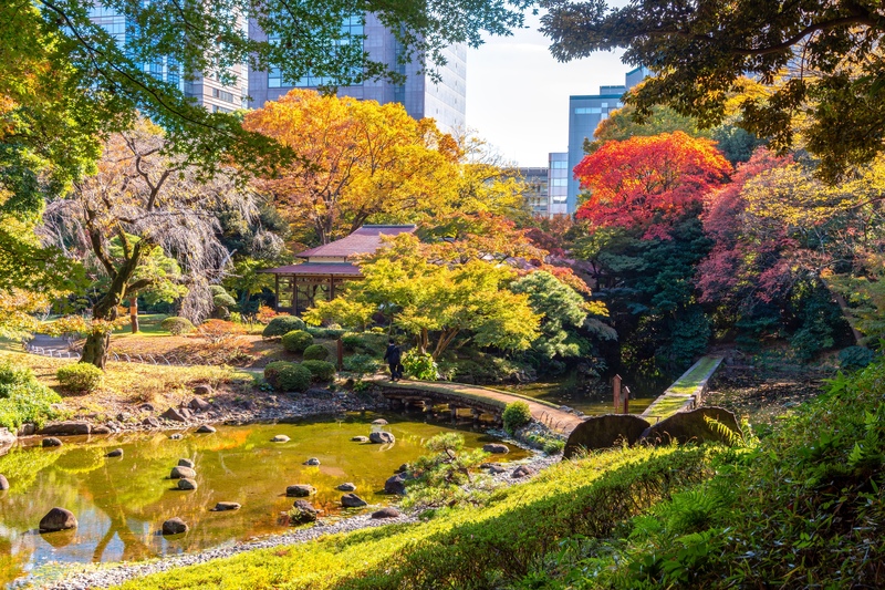 小石川后乐园攻略｜名园漫步看点与四季美景