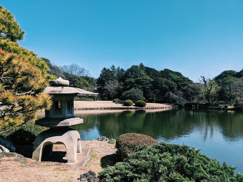 新宿御苑の見どころと散策ルートを初めて向けにやさしく紹介