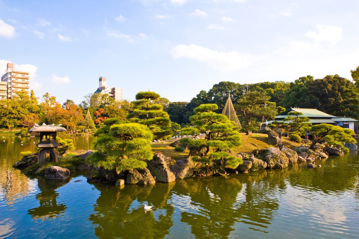 清澄庭園で味わう東京の日本庭園｜見どころと散策のポイント