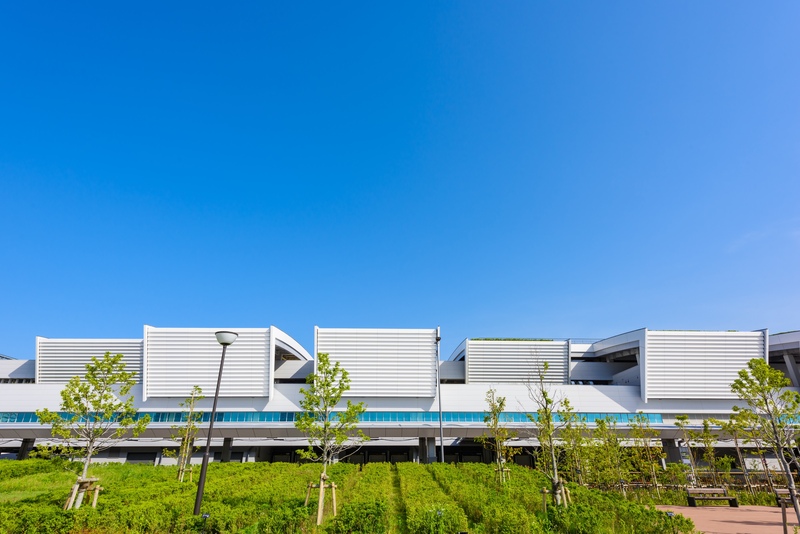 丰洲市场观光攻略｜参观·美食·购物完整指南