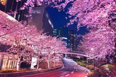 東京ミッドタウン（六本木）の見どころと歩き方