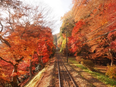 高尾山（東京）日帰り登山ガイド｜自然とパワースポットを満喫