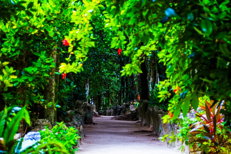 備瀨福木林蔭道攻略｜沖繩本部町聚落散策指南