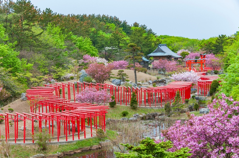 Takayama Inari Jinja : guide des mille torii à Aomori