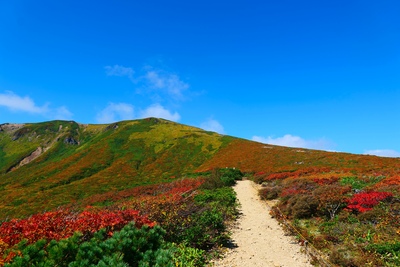 栗駒山必看攻略｜登山、紅葉、世界谷地懶人包