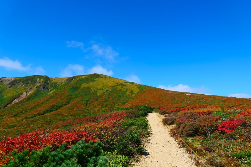 栗駒山必看攻略｜登山、紅葉、世界谷地懶人包