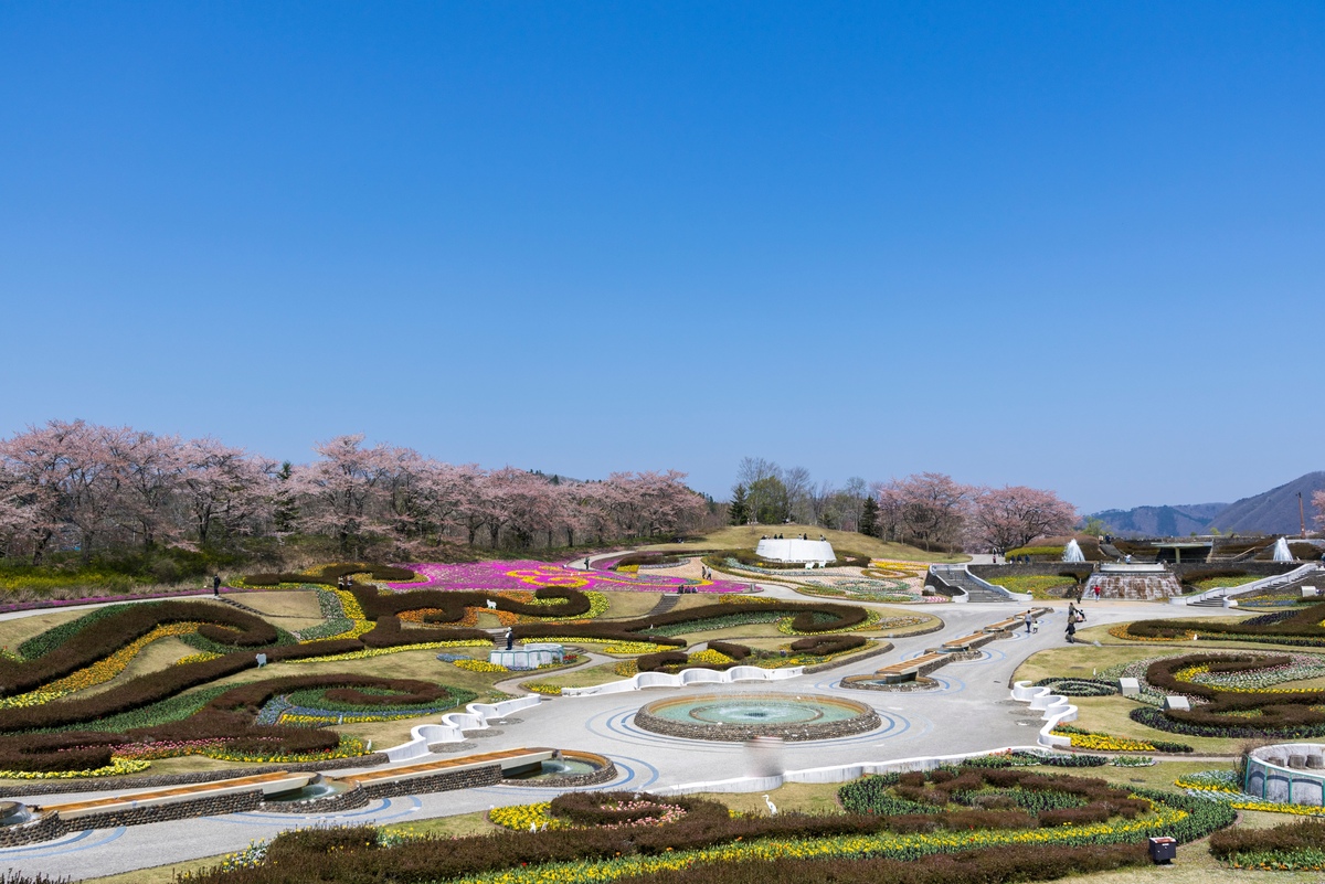 Michinoku Lakeside Park: Tohoku's National Garden in Miyagi