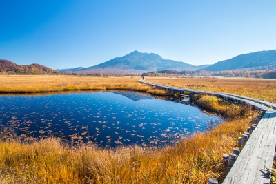 尾瀬国立公園とは？初めての見どころ・歩き方・現地ルール完全ガイド