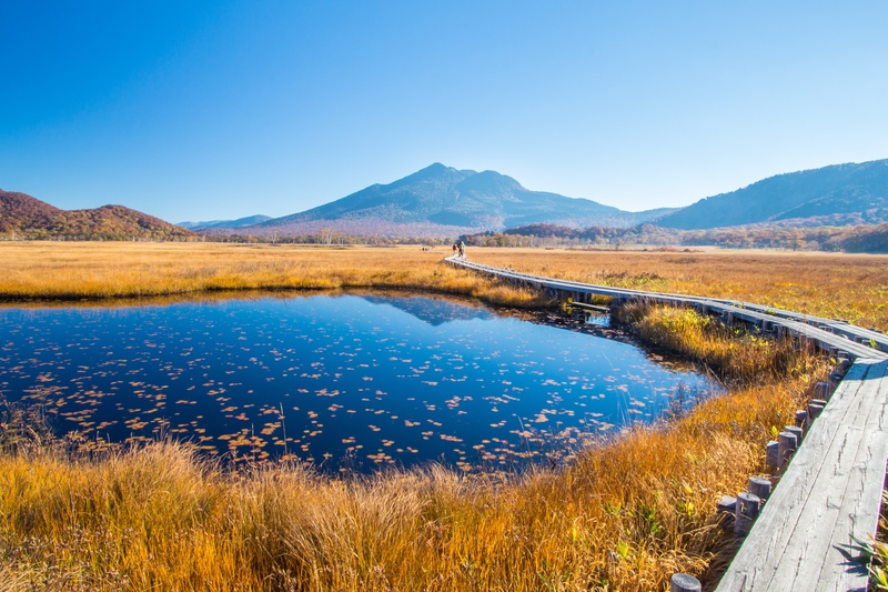 오제 국립공원 완벽 가이드｜볼거리, 산책 코스, 현지 규칙 총정리
