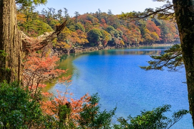 えびの高原の歩き方｜池めぐりと火山景観の見どころ